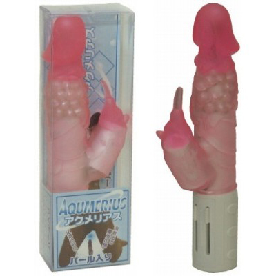 �A�N�����A�X�@�i�s���N�j